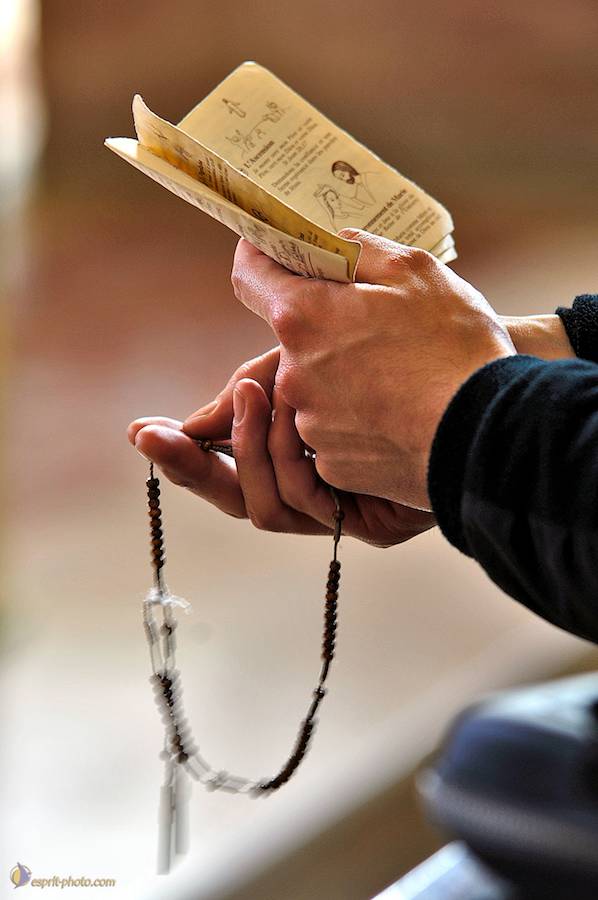 Nom de l'image : D2007188-1_(c)Norbert-JUNG — Description :